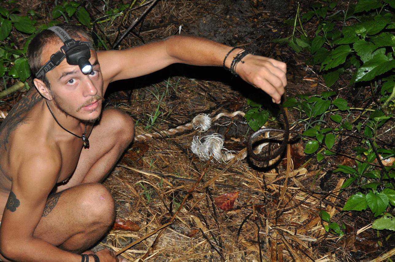 pacific ground boa desert island